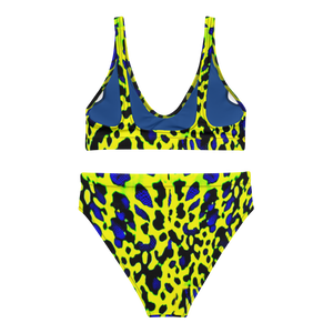 WILD STORY high-waisted bikini